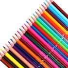 Карандаши 24 цвета Happycolor в металлической тубе, микс - фото 23345358