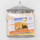 Одеяло «Адамас» зимнее 140×205±5 см, верблюжья шерсть 300 г/м, тик смесовый - Фото 4