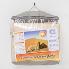 Одеяло всесезонное Адамас "Верблюжья шерсть", размер 172х205 ± 5 см, 300гр/м2, чехол тик - Фото 4