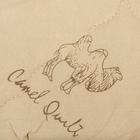 Одеяло Адамас «Верблюжья шерсть», размер 200х220 ± 5 см, 300гр/м2, чехол п/э - Фото 2