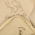Одеяло Адамас «Верблюжья шерсть», размер 200х220 ± 5 см, 300гр/м2, чехол п/э - Фото 3