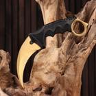 Нож-керамбит "Коготь орла" 20см, клинок 90мм/3,1мм, золотистый - Фото 2