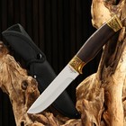 Нож охотничий "Видар" 25,5см, клинок 130мм/2,1мм, дерево - Фото 2