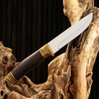 Нож охотничий "Видар" 25,5см, клинок 130мм/2,1мм, дерево - Фото 3