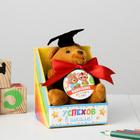 Мягкая игрушка и орден на Выпускной «Выпускник детского сада», подарочный набор - Фото 2