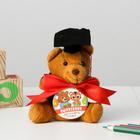 Мягкая игрушка и орден на Выпускной «Выпускник детского сада», подарочный набор - Фото 3