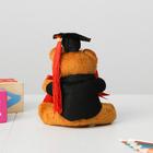 Мягкая игрушка и орден на Выпускной «Выпускник детского сада», подарочный набор - Фото 4
