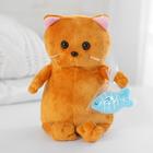 Мягкая игрушка «Кот Бисквит», с рыбкой, 30 см - Фото 2