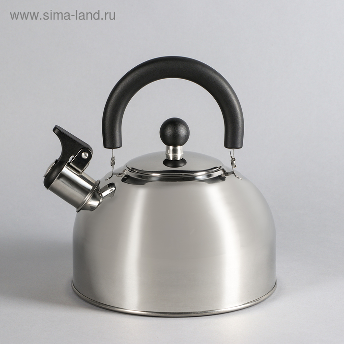 Чайник Катунь, 2.5 л, капсульное дно, со свистком, индукция, нержавеющая сталь - Фото 1