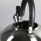 Чайник Катунь, 2.5 л, капсульное дно, со свистком, индукция, нержавеющая сталь - Фото 3