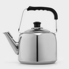 Чайник, 3 л, капсульное дно, нержавеющая сталь - Фото 1