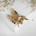 Брошь «Птица» колибри, цвет бело-синий в золоте - Фото 3