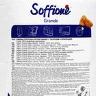 Полотенца бумажные Soffione Grande, 2 слоя, 1 рулон - Фото 2