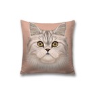 Наволочка декоративная «Домашний кот», размер 45 х 45 см, вшитая молния - фото 8982078