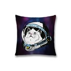 Наволочка декоративная «Кот космонавт», размер 45 х 45 см, вшитая молния - фото 8982090