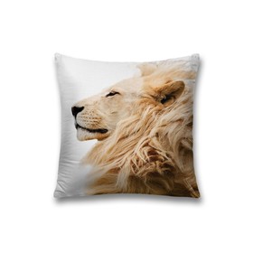 Наволочка декоративная «Вдохновение льва», на молнии, размер 45х45 см