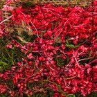 Набор корзин, 2 шт, 20.5X20.5X12.5/32 см, 16.5X16.5X11/27 см - Фото 6