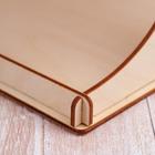 Kopмушка для птиц «Дерево», 18 × 16 × 15 см - Фото 5