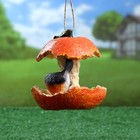 Подвесная садовая кормушка "Апельсин и птичка" из полистоуна, 14см, Хорошие сувениры - Фото 2