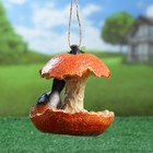 Подвесная садовая кормушка "Апельсин и птичка" из полистоуна, 14см, Хорошие сувениры - Фото 3