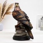 Фигура "Беркут на камнях" 44х30см - фото 24233262