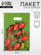 Пакет «Мимоза» полиэтиленовый с вырубной ручкой, 35 мкм, 30×40 см - Фото 1