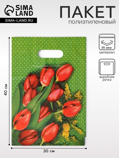 Пакет «Мимоза» полиэтиленовый с вырубной ручкой, 35 мкм, 30×40 см