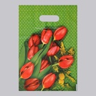 Пакет «Мимоза» полиэтиленовый с вырубной ручкой, 35 мкм, 30×40 см - Фото 2