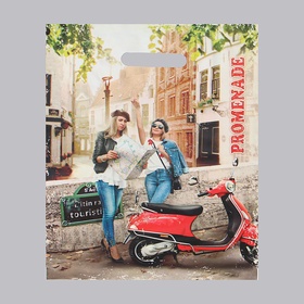 Пакет «Прогулка» полиэтиленовый с вырубной ручкой, 50 мкм, 30?40 см (комплект 50 шт)