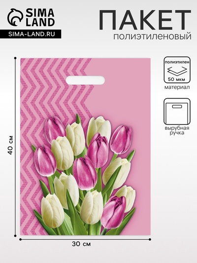 Пакет «Диана» полиэтиленовый с вырубной ручкой, МИКС, 50 мкм, 30×40 см
