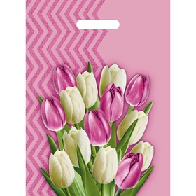 Пакет «Диана» полиэтиленовый с вырубной ручкой, МИКС, 50 мкм, 30?40 см (комплект 50 шт)