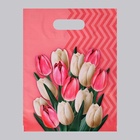 Пакет «Диана» полиэтиленовый с вырубной ручкой, МИКС, 50 мкм, 30×40 см - Фото 3