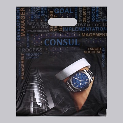 Пакет «Консул» полиэтиленовый с вырубной ручкой, 60 мкм 31×40 см