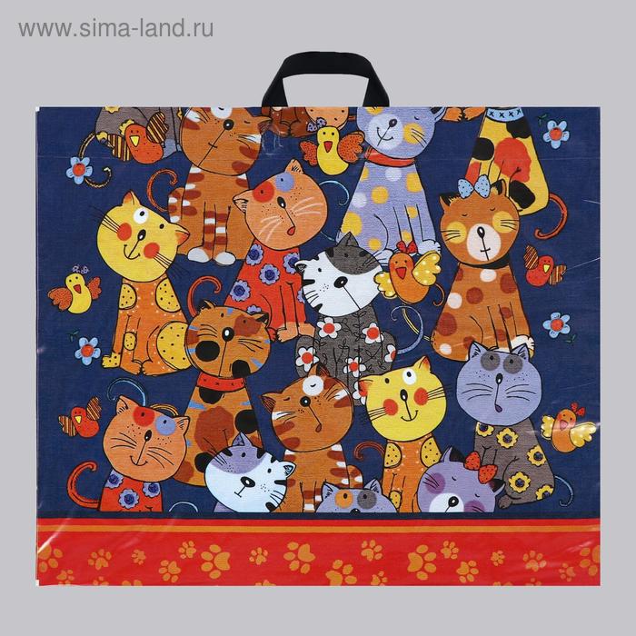 

Пакет "Кошкин дом", полиэтиленовый с петлевой ручкой, 60 х 50 см, 70 мкм