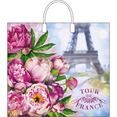 Пакет «Тур-де-франс», полиэтиленовый с пластиковой ручкой, 90 мкм 38×35 см