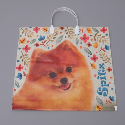 Пакет «Шпиц», полиэтиленовый с пластиковой ручкой, 37×34 см, 80 мкм