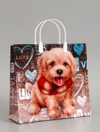 Пакет «Любимчик», мягкий пластик, 30×30 см, 150 мкм - Фото 1