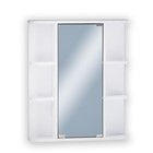 Зеркало-шкаф для ванной комнаты "Стандарт 60",  12 х 60 х 70 см - фото 318318014