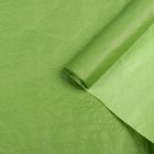 Бумага упаковочная "Эколюкс двухцветная", темно-зеленый-салатовый, 0,7 x 5 м МИКС - Фото 1