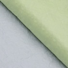 Бумага упаковочная перламутровая "Эколюкс двухцветная", морская волна - салатовый, 0,7 x 5 м - фото 9563756