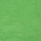 Бумага упаковочная "Эколюкс двухцветная", салатовый-сиреневый, МИКС 0,67 x 5 м - Фото 4