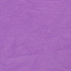 Бумага упаковочная "Эколюкс двухцветная", салатовый-сиреневый, МИКС 0,67 x 5 м - Фото 5