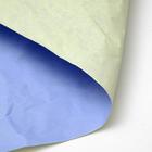 Бумага упаковочная "Эколюкс двухцветная", салатовый-сиреневый, МИКС 0,67 x 5 м - Фото 7