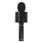 Микрофон для караоке Belsis MA3001BE, Bluetooth, FM, microSD, чёрный - фото 51450527
