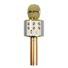 Микрофон для караоке Belsis MA3001BE, Bluetooth, FM, microSD, цвет золото - Фото 1