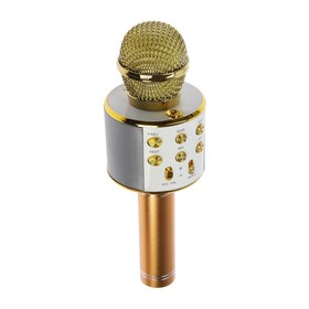 

Микрофон для караоке Belsis MA3001BE, Bluetooth, FM, microSD, цвет золото