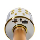 Микрофон для караоке Belsis MA3001BE, Bluetooth, FM, microSD, цвет золото - Фото 4