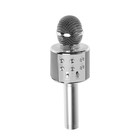 Микрофон для караоке Belsis MA3001BE, Bluetooth, FM, microSD, серебристый - Фото 2