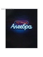 Набор предметных тетрадей Calligrata «Неон», 10 предметов, 48 листов, со справочным материалом, обложка из мелованного картона - Фото 16