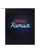 Набор предметных тетрадей Calligrata «Неон», 10 предметов, 48 листов, со справочным материалом, обложка из мелованного картона - Фото 11